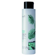 Nouvelle Scalp Habit Sebum Control Shampoo_Шампунь для жирної шкіри голови 250мл Nouvelle Scalp Habit Sebum Control Shampoo_Шампунь для жирної шкіри голови 250мл