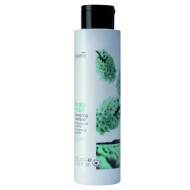 Nouvelle Scalp Habit Energizing Shampoo_Шампунь проти випадіння волосся 250мл Nouvelle Scalp Habit Energizing Shampoo_Шампунь проти випадіння волосся 250мл