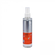 Elinor Shine Spray_Спрей-блиск для волосся 100мл