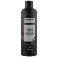 Kleral System Brizzolina Shampoo Pour Home_Шампунь чоловічий 250мл Kleral System Brizzolina Shampoo Pour Home_Шампунь чоловічий 250мл