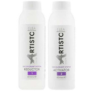 Elea Professional Artisto Decolorant System_Система для видалення кольору з волосся 2х60мл Elea Professional Artisto Decolorant System_Система для видалення кольору з волосся 2х60мл