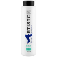 Elea Professional Artisto Balancing Shampoo_Шампунь бівалентний 300мл Elea Professional Artisto Balancing Shampoo_Шампунь бівалентний 300мл